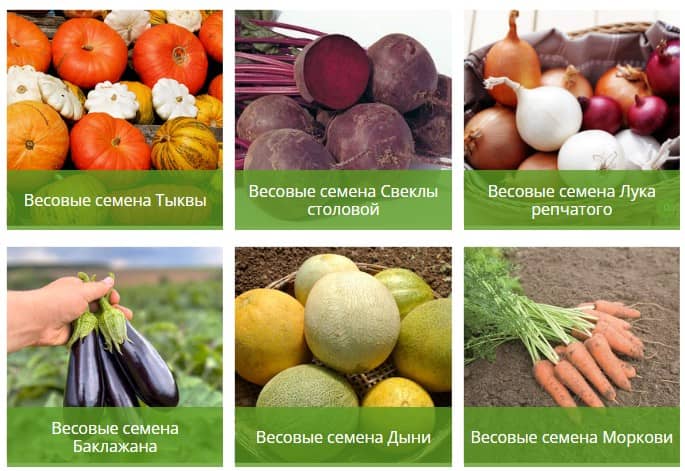 Особенности выбора и покупки семян овощей на вес