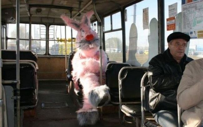 Безбилетный проезд
