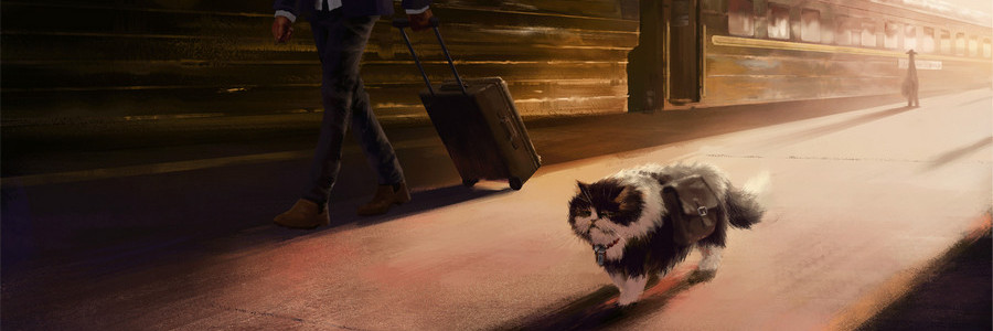 Одинокий кот