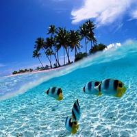 Лучшие места отдыха на море